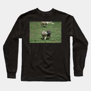 Wolves Long Sleeve T-Shirt